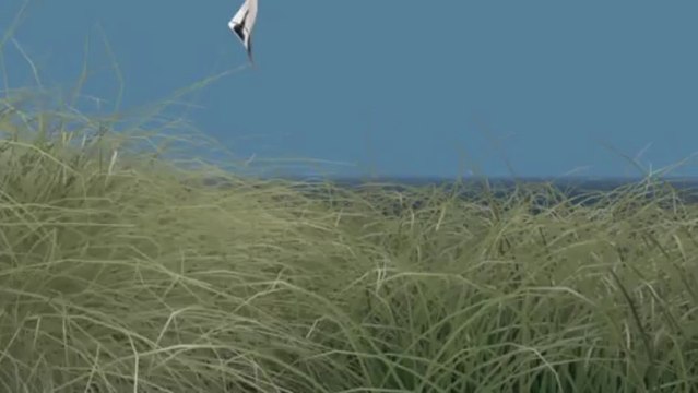 Los cables submarinos