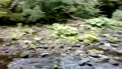 Beacon Fell (Behind the scenes Vlog)