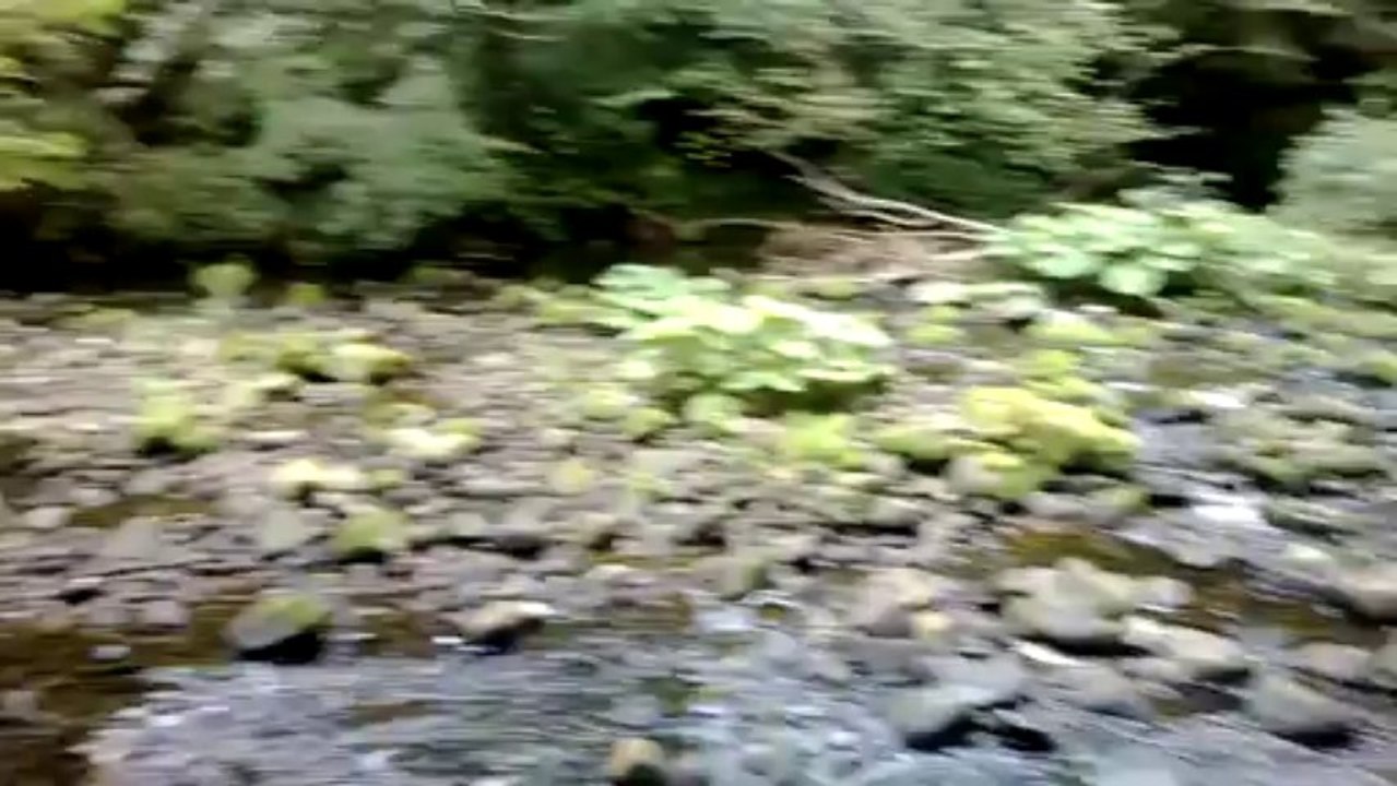 Beacon Fell (Behind the scenes Vlog)