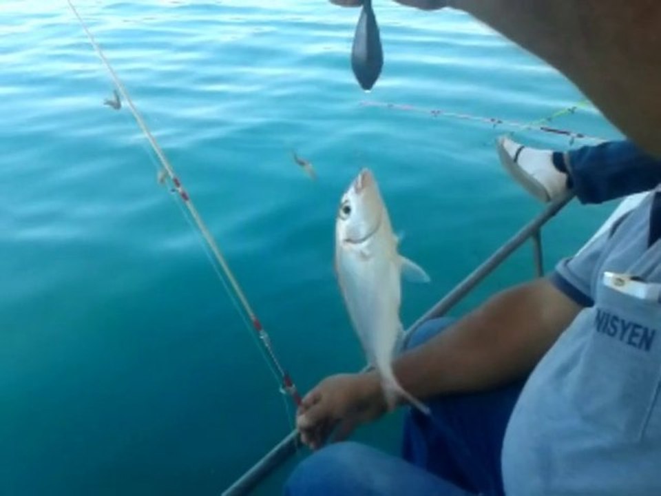 ismail kaptan balık avı.28.08.2013 tel .05334559097