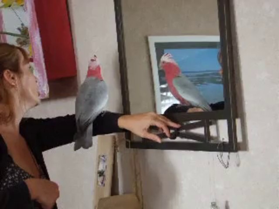 DSCF9022
