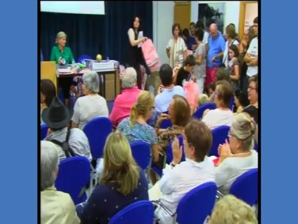 DIR 2013-08-25 Premi Pintura Rapida.