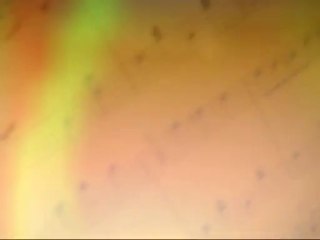 Alexander Skwortsow...Schubert - Elman Serenade