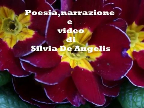 Silvia De Angelis - Screzi nel vento