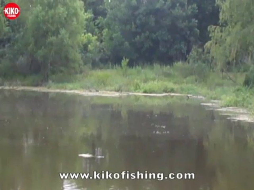 Reel Keel # 1 Fishing Lure For Bass