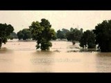 Yamuna river consumes Delhi city!
