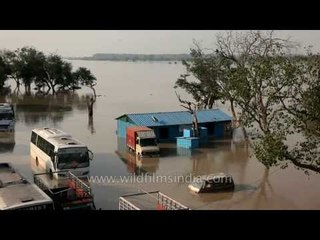 Trucks and buses go under-water in Delhi's flood!