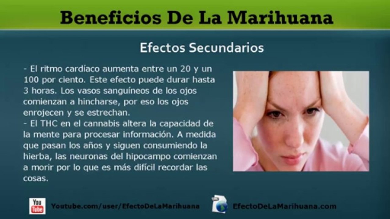 Beneficios De La Marihuana: Cuales Son Los Verdaderos Beneficios De La Marihuana