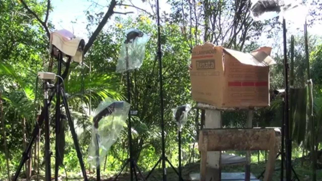 3_Hudson Garcia klein