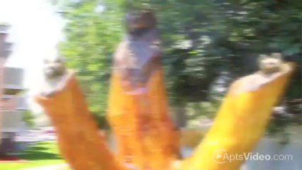 Washington Park Apartments in Northglenn, CO - ForRent.com