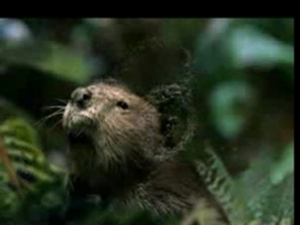 Pub Xbox Moustiques fr