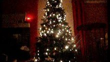 sapin