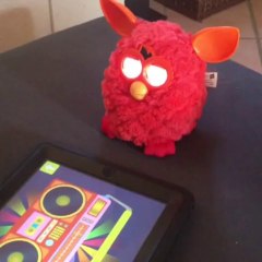 Il est en forme ce matin furby