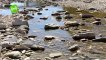 Rimini: scatta il divieto di prelievo d'acqua dai fiumi  Multe fino a 1000 euro