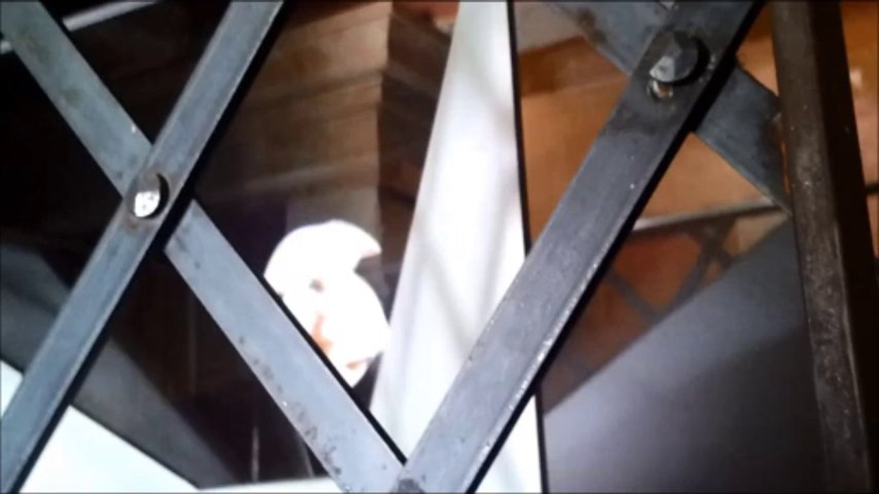 Ahyes - Malicia Darkwave