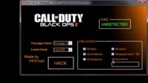 NEW September 2013 Black Ops 2  All Weapons Prestige Hack MAX XP BRAND (2)