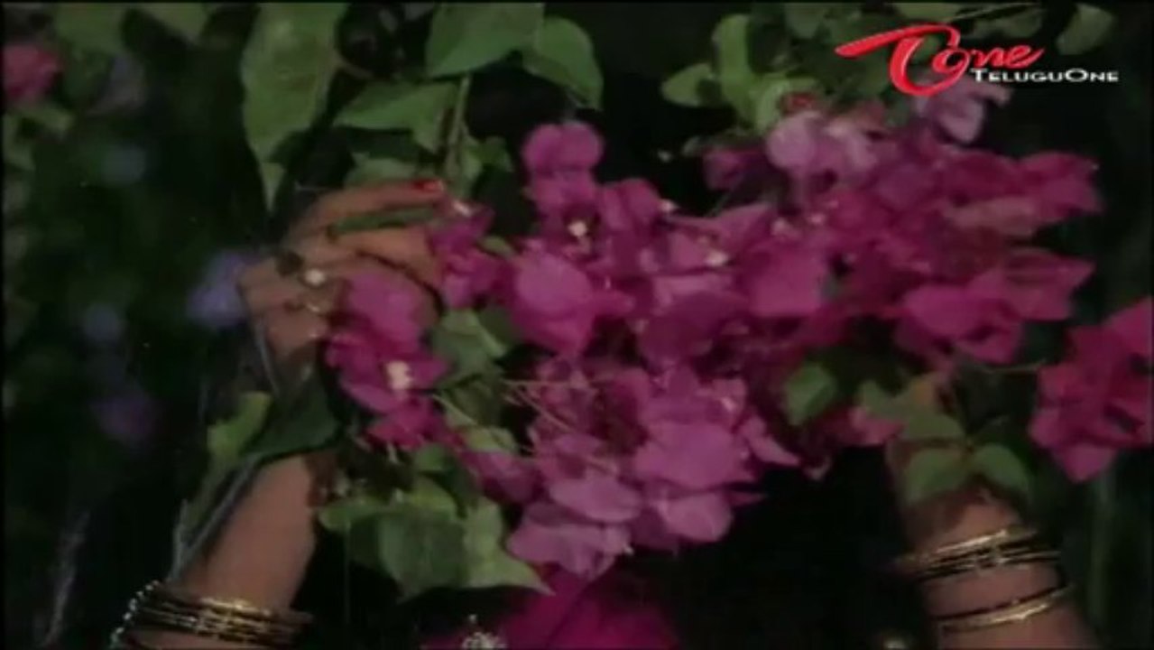 Nava Mohini Songs | Evaro Evaro | Rohini | Narasimharaju