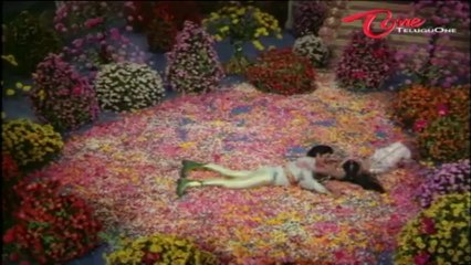 Nava Mohini Songs | Manase Mayuramai | Narasimharaju | Rohini