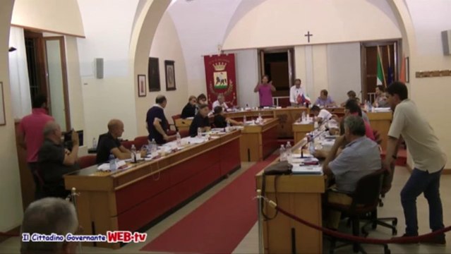 Consiglio comunale 9 agosto 2013 petizione spiaggia per cani votazioni