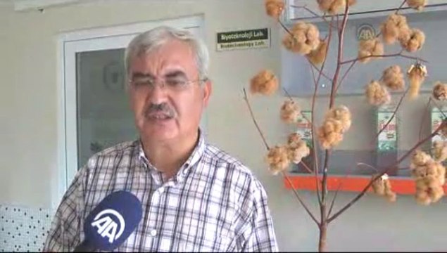 Hem renkli hem organik