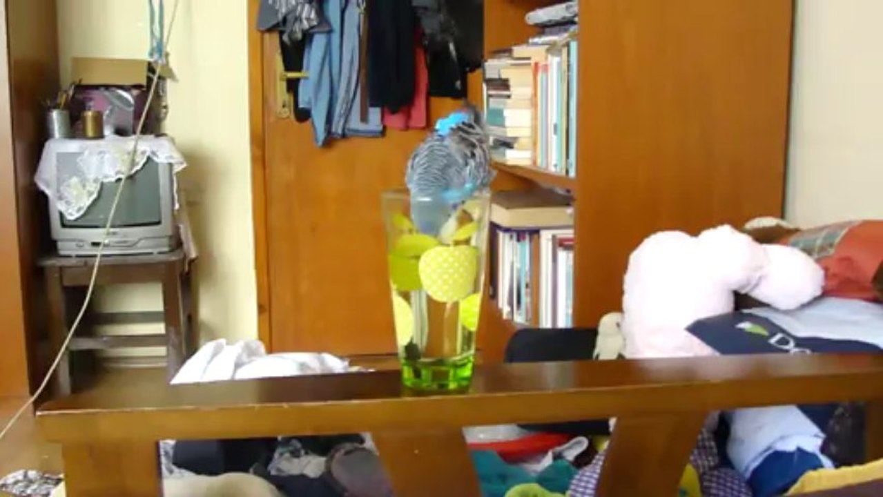 Kuş ve Bardak