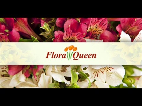 Floraqueen-Les bouquets les + populaires