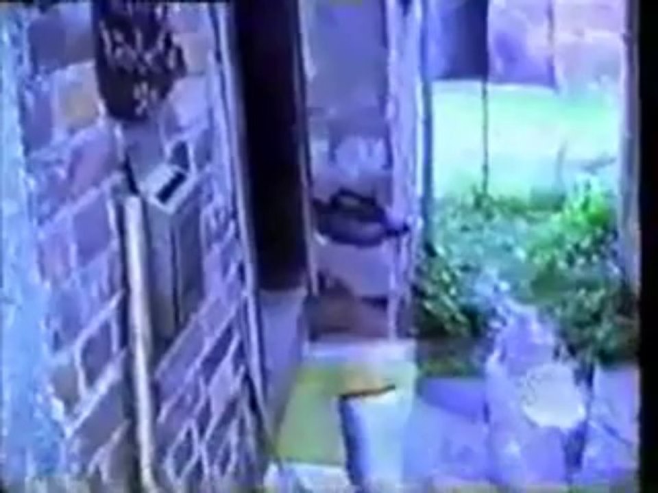 Saç Kavurma Yemek Tarifi   Nefis Yemek Tarifi