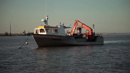 Mytiliculture en Baie de l'Aiguillon