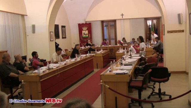 Consiglio comunale 9 agosto 2013 petizione spiaggia per cani intervento Branella