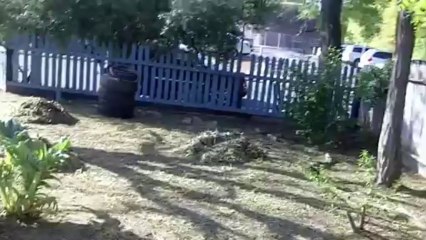 I Buy Houses Stockton 1607 E Walnut St Stockton