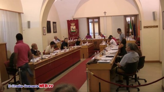 Consiglio comunale 9 agosto 2013 petizione spiaggia per cani intervento Andrenacci