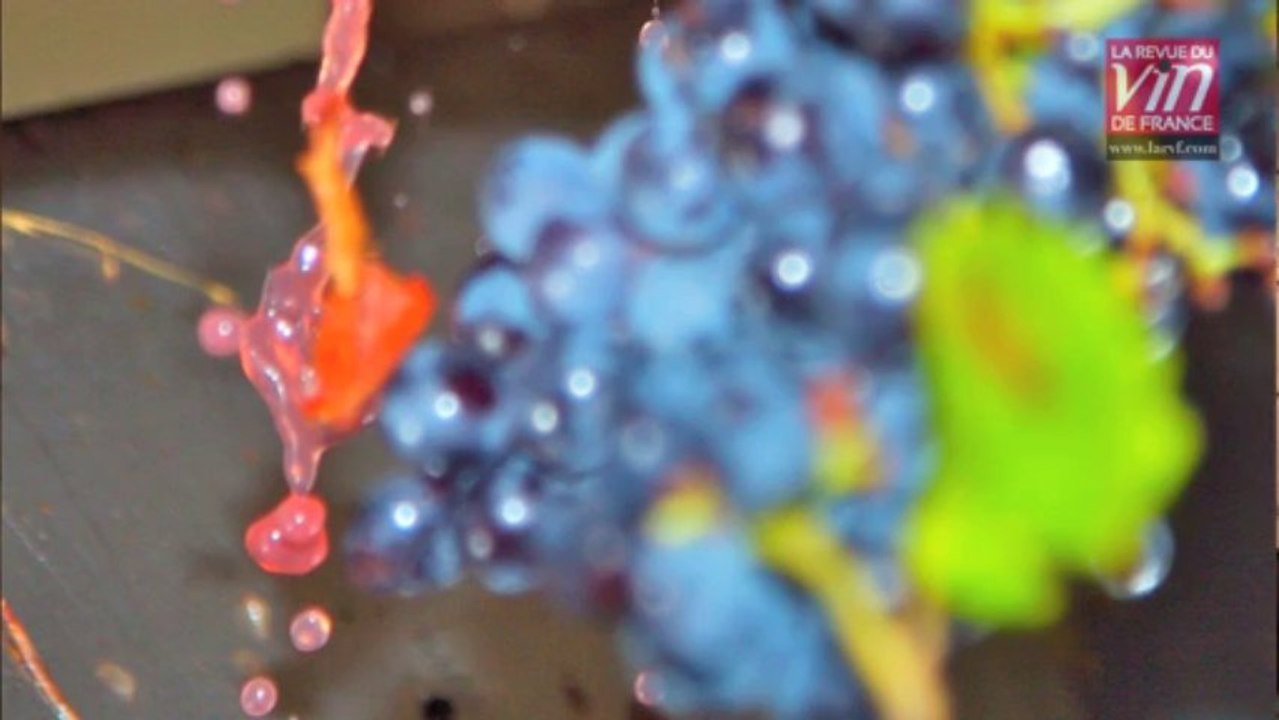 Domaine du Joncier: coup de coeur pour la cuvée les Muses