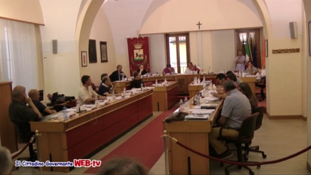 Consiglio comunale 9 agosto 2013 petizione spiaggia per cani intervento Rota