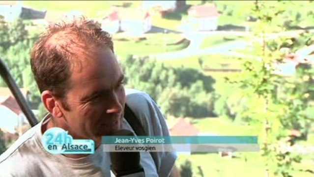 Les éleveurs en guerre contre les loups