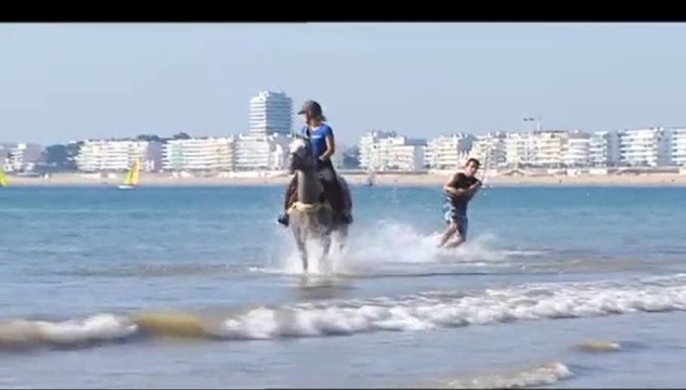 30 millions d'amis - Focus on Harold Quinquis, creator of the Horse Surfing