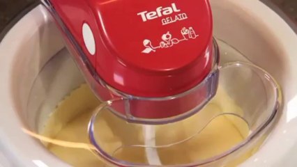 Vanilyalı Dondurma Tarifi - Nefis Yemek Tarifi