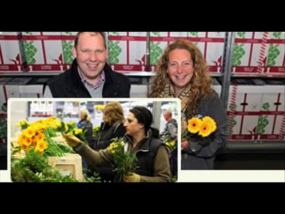 La magie de Floraqueen