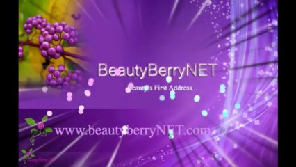 SHISEIDO Luminizing Lip Gloss