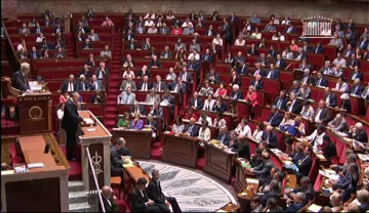Discours de Bruno Le Roux lors du débat parlementaire sur la situation en Syrie