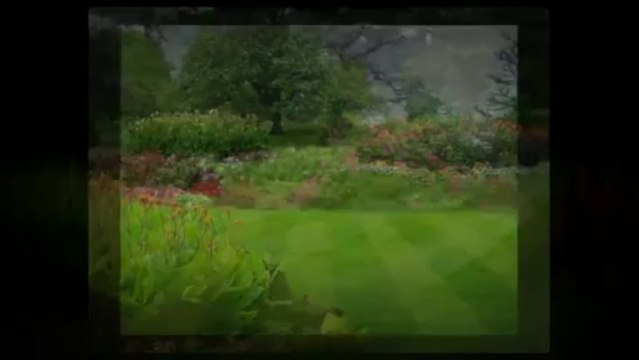 Lawn Kingdom (757) 718-3242