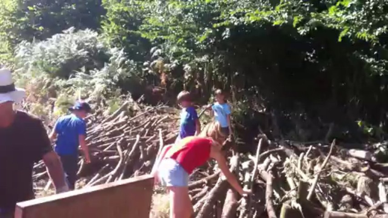 BOIS 2