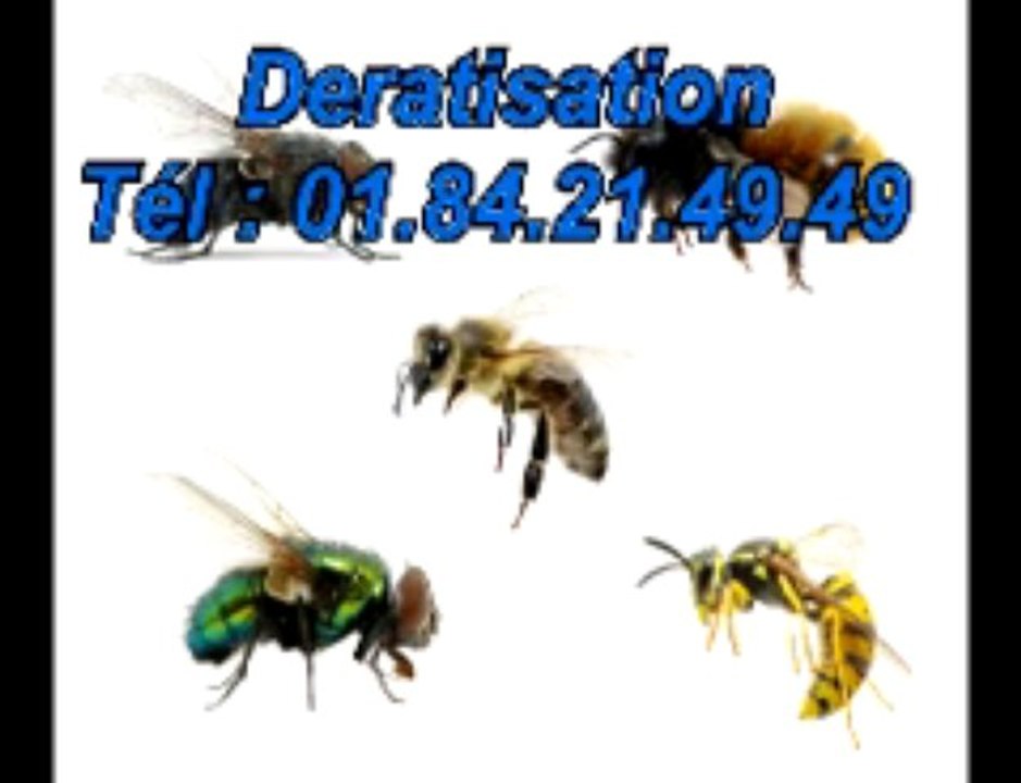 Deratisation Tél : 01.84.21.49.49