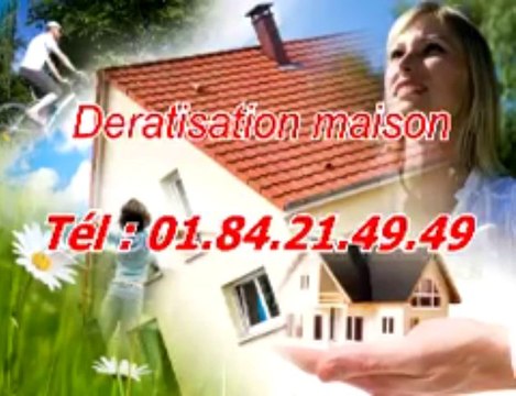 Dératisation maison Tél : 01.84.21.49.49