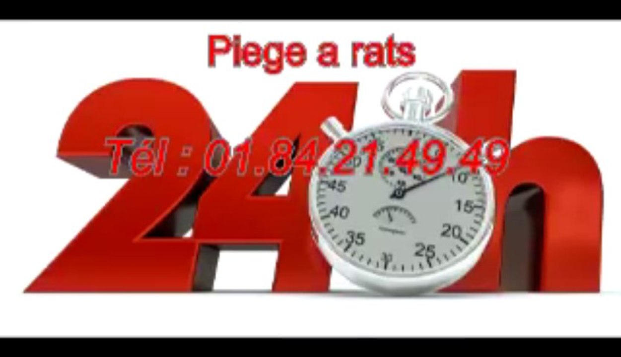 Dératisation appartement Tél : 01.84.21.49.49