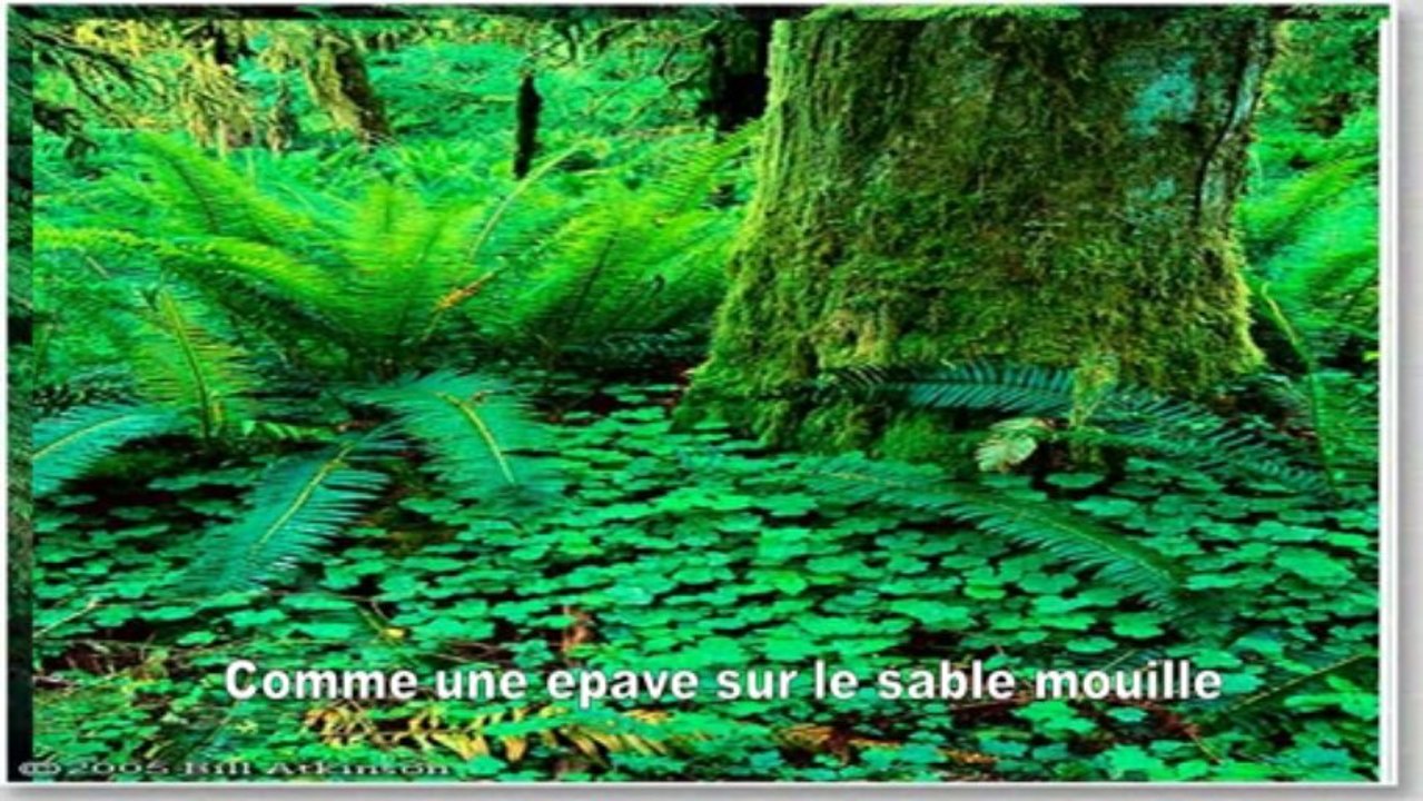 Aline (PP720p)