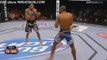 Arantes vs Souza fight video