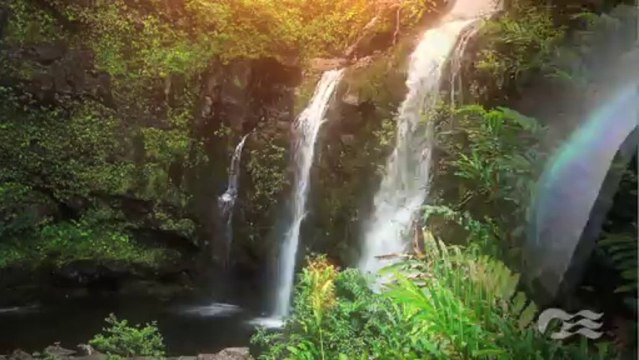 Cruise to Hawaii from San Francisco with Princess Cruises - Cruise to Honolulu, Kauai, Maui, & Hilo!