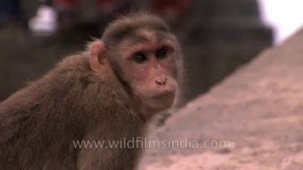 Mumbai Malshej Ghat 5