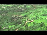 Aerial view of lush green mountains of Champawat