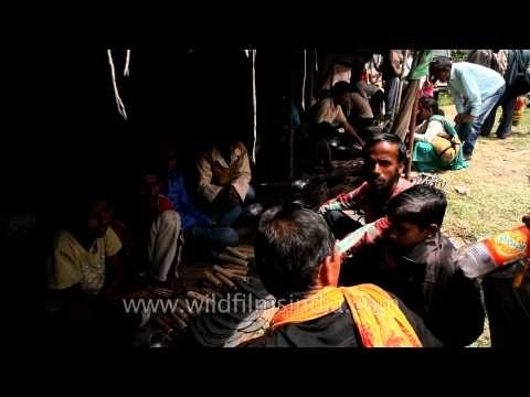 Temporary market at Devidhura during Bagwal mela